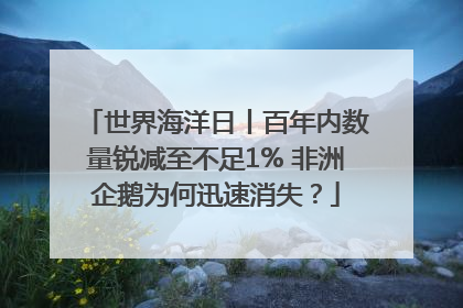 世界海洋日丨百年内数量锐减至不足1% 非洲企鹅为何迅速消失？