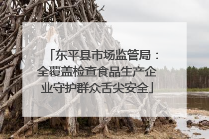 东平县市场监管局：全覆盖检查食品生产企业守护群众舌尖安全