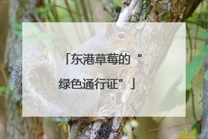 东港草莓的“绿色通行证”
