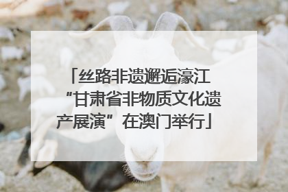 丝路非遗邂逅濠江 “甘肃省非物质文化遗产展演”在澳门举行