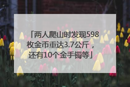 两人爬山时发现598枚金币重达3.7公斤，还有10个金手镯等