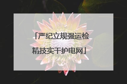 严纪立规强运检 精技实干护电网