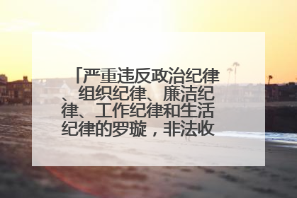 严重违反政治纪律、组织纪律、廉洁纪律、工作纪律和生活纪律的罗璇，非法收受他人巨额财物
