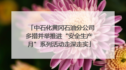 中石化黄冈石油分公司多措并举推进“安全生产月”系列活动走深走实