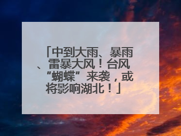 中到大雨、暴雨、雷暴大风！台风“蝴蝶”来袭，或将影响湖北！