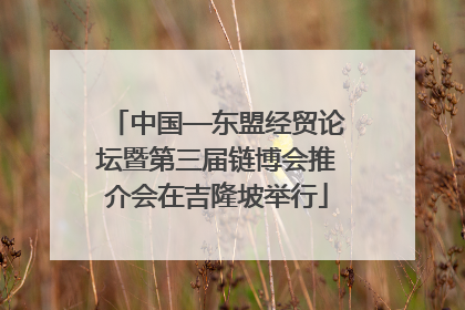 中国—东盟经贸论坛暨第三届链博会推介会在吉隆坡举行
