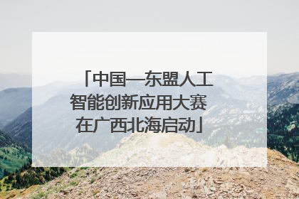 中国—东盟人工智能创新应用大赛在广西北海启动