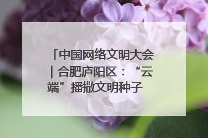 中国网络文明大会｜合肥庐阳区：“云端”播撒文明种子 共建清朗网络空间