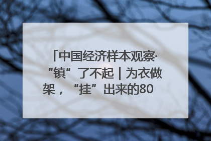 中国经济样本观察·“镇”了不起｜为衣做架，“挂”出来的80亿元“衣架产业”