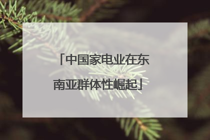 中国家电业在东南亚群体性崛起