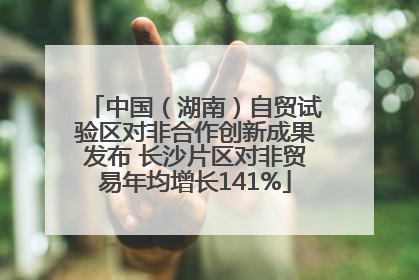 中国（湖南）自贸试验区对非合作创新成果发布 长沙片区对非贸易年均增长141%
