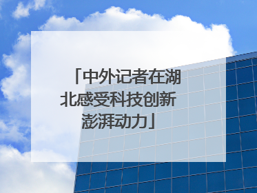 中外记者在湖北感受科技创新澎湃动力