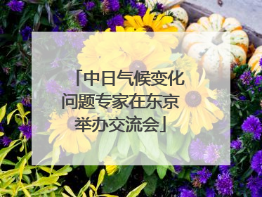 中日气候变化问题专家在东京举办交流会