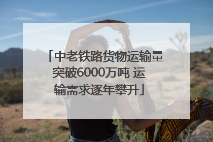 中老铁路货物运输量突破6000万吨 运输需求逐年攀升