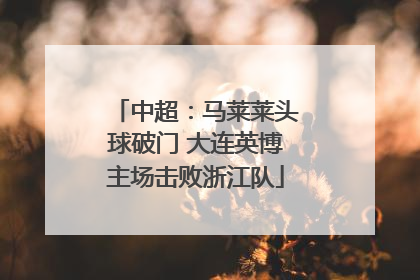 中超：马莱莱头球破门 大连英博主场击败浙江队