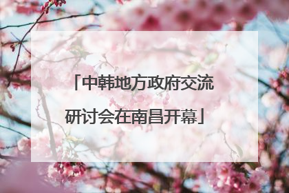 中韩地方政府交流研讨会在南昌开幕