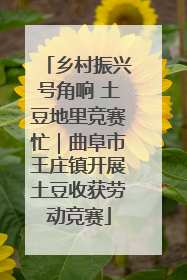 乡村振兴号角响 土豆地里竞赛忙｜曲阜市王庄镇开展土豆收获劳动竞赛