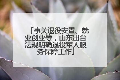 事关退役安置、就业创业等，山东出台法规明确退役军人服务保障工作