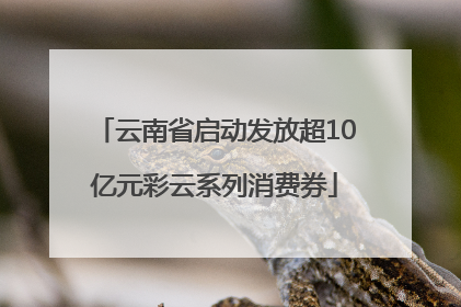 云南省启动发放超10亿元彩云系列消费券
