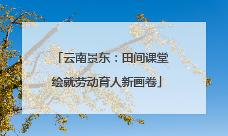 云南景东：田间课堂绘就劳动育人新画卷