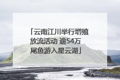 云南江川举行增殖放流活动 逾54万尾鱼游入星云湖