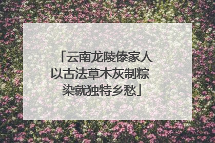 云南龙陵傣家人以古法草木灰制粽 染就独特乡愁