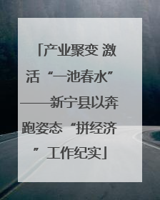 产业聚变 激活“一池春水”——新宁县以奔跑姿态“拼经济”工作纪实