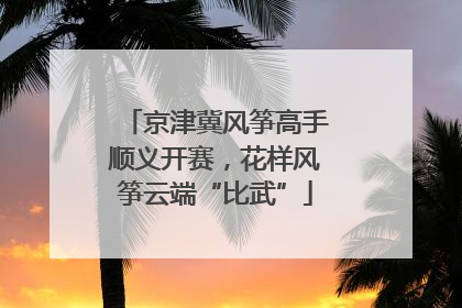 京津冀风筝高手顺义开赛，花样风筝云端“比武”