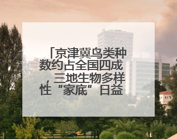 京津冀鸟类种数约占全国四成，三地生物多样性“家底”日益厚实