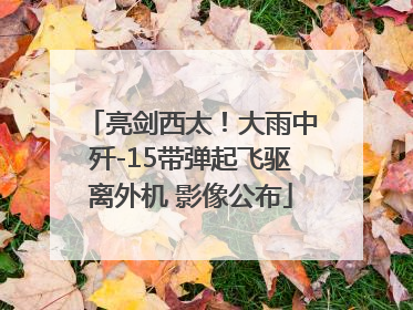 亮剑西太！大雨中歼-15带弹起飞驱离外机 影像公布