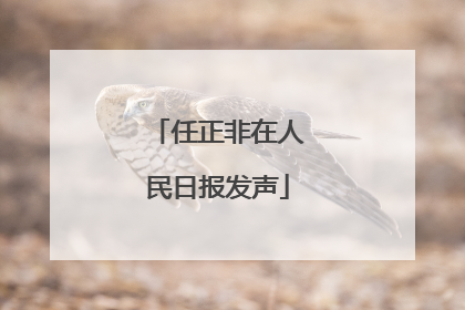 任正非在人民日报发声