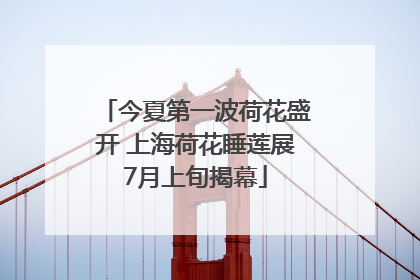 今夏第一波荷花盛开 上海荷花睡莲展7月上旬揭幕