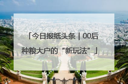 今日报纸头条｜00后种粮大户的“新玩法”