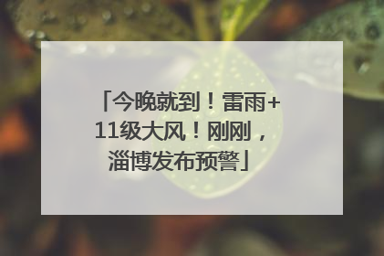 今晚就到！雷雨+11级大风！刚刚，淄博发布预警
