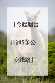 今起烟台开通5条公交线路
