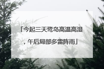 今起三天鹭岛高温高湿，午后局部多雷阵雨