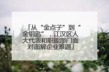 从“金点子”到“金钥匙”，江汉区人大代表和职能部门面对面解企业难题