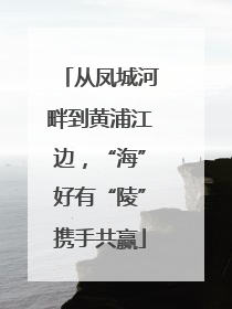 从凤城河畔到黄浦江边，“海”好有“陵”携手共赢