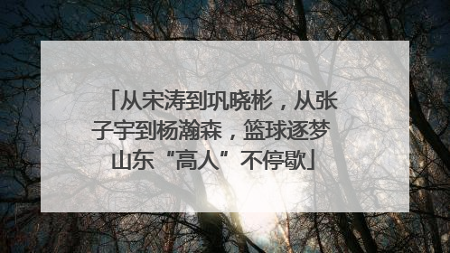从宋涛到巩晓彬，从张子宇到杨瀚森，篮球逐梦山东“高人”不停歇