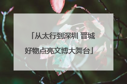 从太行到深圳 晋城好物点亮文博大舞台