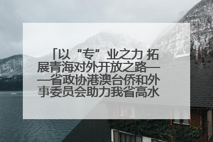 以“专”业之力 拓展青海对外开放之路——省政协港澳台侨和外事委员会助力我省高水平开放和高质量发展