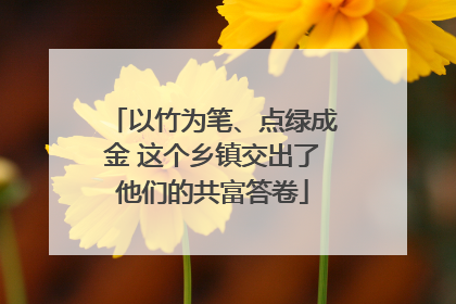 以竹为笔、点绿成金 这个乡镇交出了他们的共富答卷