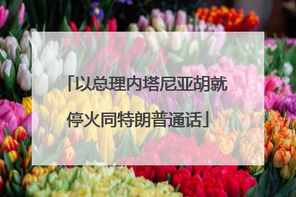 以总理内塔尼亚胡就停火同特朗普通话