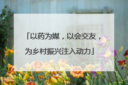 以药为媒，以会交友，为乡村振兴注入动力