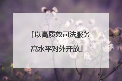 以高质效司法服务高水平对外开放