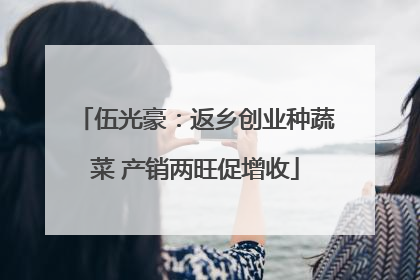 伍光豪：返乡创业种蔬菜 产销两旺促增收