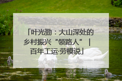 叶光勤：大山深处的乡村振兴“领路人”｜百年工运·劳模说