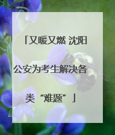 又暖又燃 沈阳公安为考生解决各类“难题”