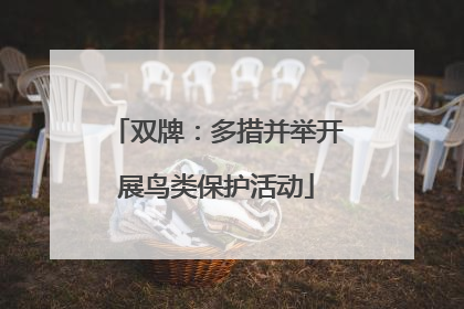 双牌：多措并举开展鸟类保护活动