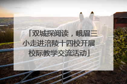 双城探阅读，峨眉三小走进涪陵十四校开展校际教学交流活动